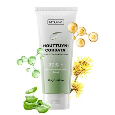Houttuyni Cordata Pore Tiefenreinigungsschaum